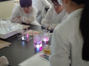 化学発光による発光現象の観察